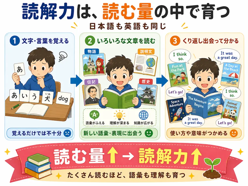 読解力を伸ばすのは、圧倒的な読書量
