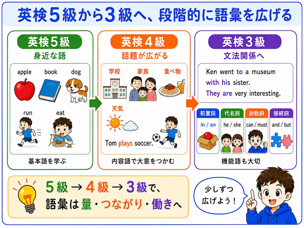 英検5級から3級へ、段階的に語彙を広げる