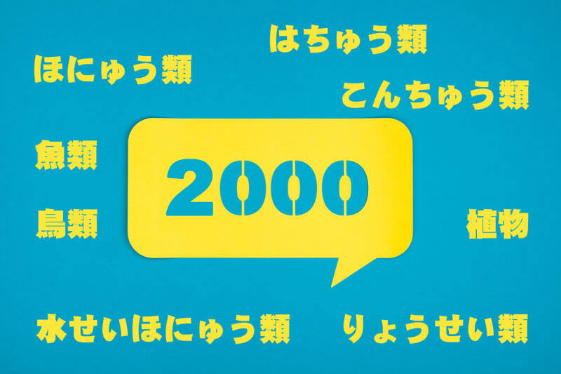 ものしり博士 おうち英語教材パルキッズ ものしり博士 おうち英語教材パルキッズ