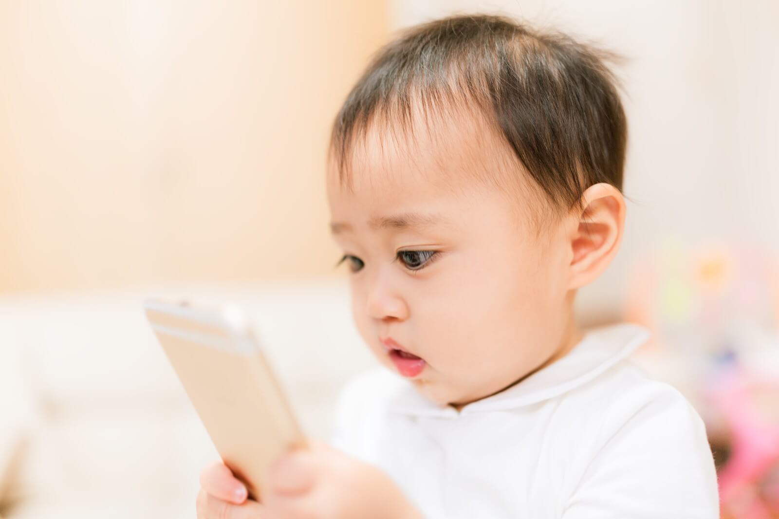 特集イメージ2