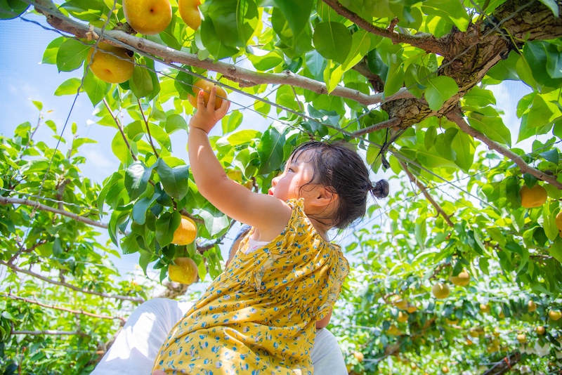 経験に昇華しない体験はただの思い出…
