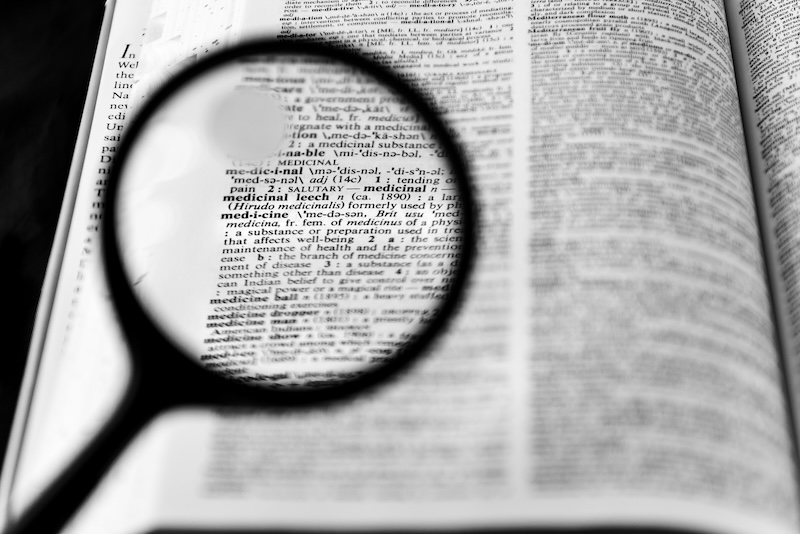 パルキッズたちの心内辞書